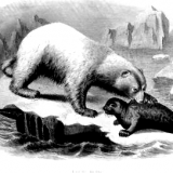 Hibernation sur un système Arch Linux (s2disk / uswsusp)