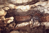 Lascaux : le site de la grotte de Lascaux et de sa reproduction Lascaux II