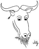 Licence  pour les documents libres de GNU (Free Documentation Licence)