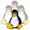 Le projet Linux virtual server (LVS)